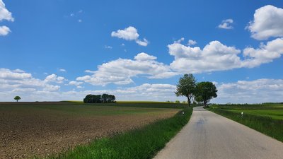 Weg in Natur
