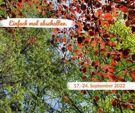 Symbolbild abschalten Laub und Himmel