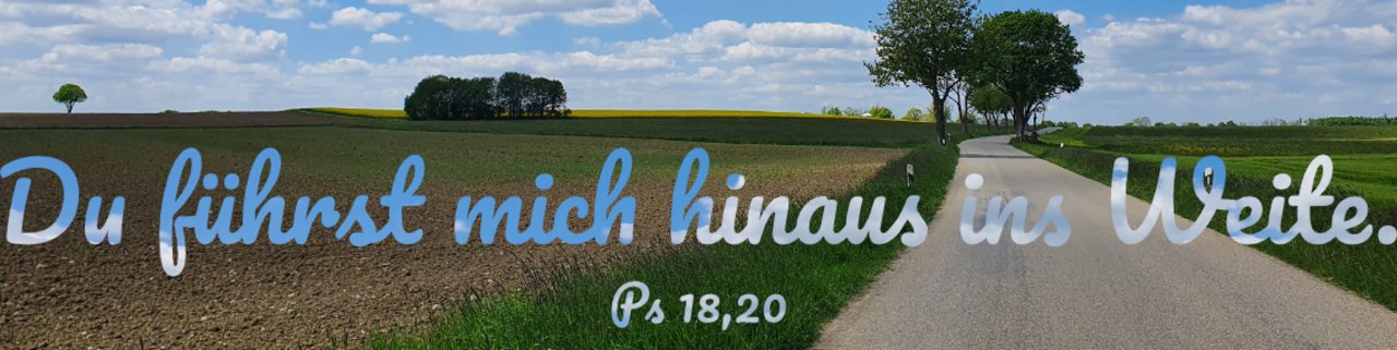Symbolbild: Straße in Landschaft